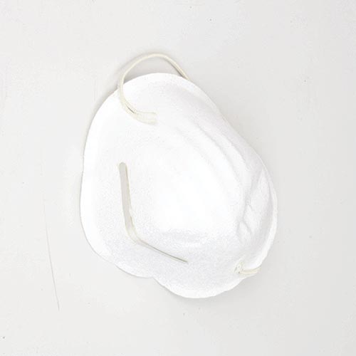 Disposable Dust Mask Disposable Dust Mask